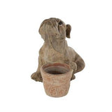 Brown Resin Dog Textured Planter with Antique Pot