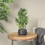 Green Faux Foliage Artificial Plant with Black Plastic Pot - 14" X 14" X 19"