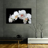 Tempered Glass Art - Orchid Wall Art Decor