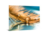 Tempered Glass Art - Floating Wall Art Decor