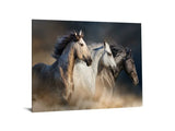 Tempered Glass Art - 3 Horse Wall Art Decor