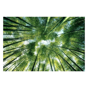 Tempered Glass Art - Green Vibrant Wall Art Decor