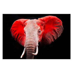 Tempered Glass Art - Red Elephant Wall art Decor