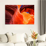 Tempered Glass Art - Antelope Fine Wall Art Decor