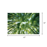 Tempered Glass Art - Green Vibrant Wall Art Decor