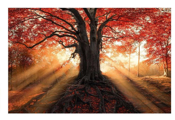 Tempered Glass Art - Red Tree Wall Art Decor