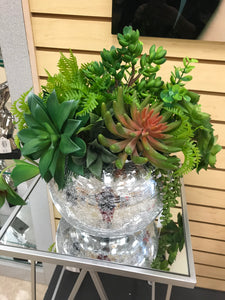 Mixed Succulents in Mirror Vase - Floral & Greenery