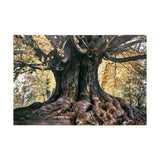 Canvas Art -Tree Wall Art Decor