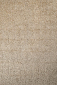 Modern Beige Ribbon Shag Area Rug